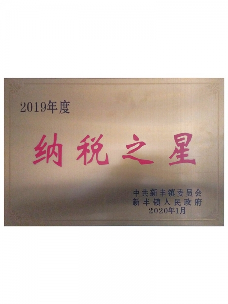 Pay taxes stear in 2019