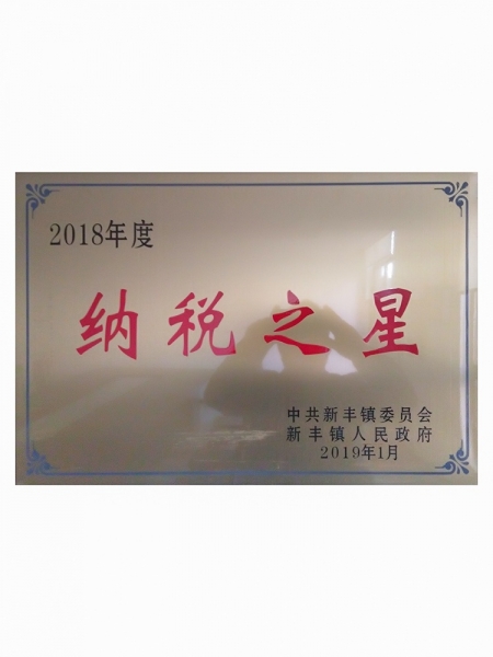 Pay taxes stear in 2018